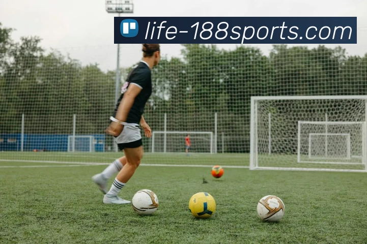 188体育官网全站App